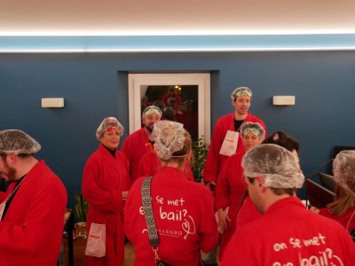 La Team Allégro au Carnaval de Sion